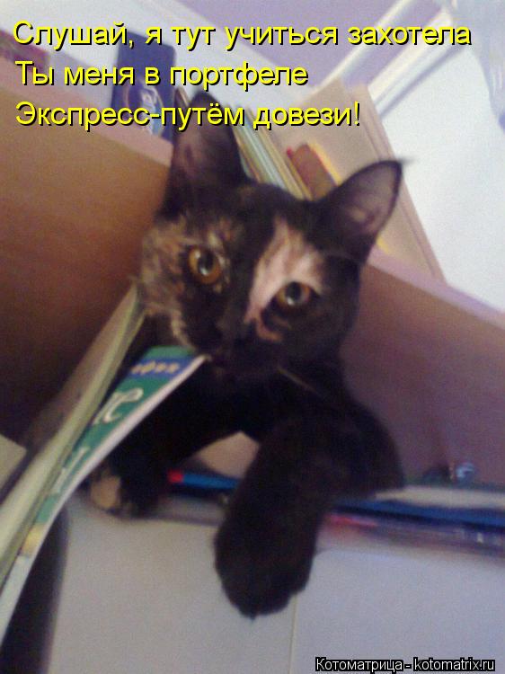 Котоматрица: Слушай, я тут учиться захотела Ты меня в портфеле  Экспресс-путём довези!