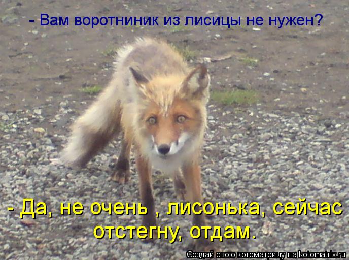 Котоматрица: - Вам воротниник из лисицы не нужен? - Да, не очень , лисонька, сейчас  отстегну, отдам.