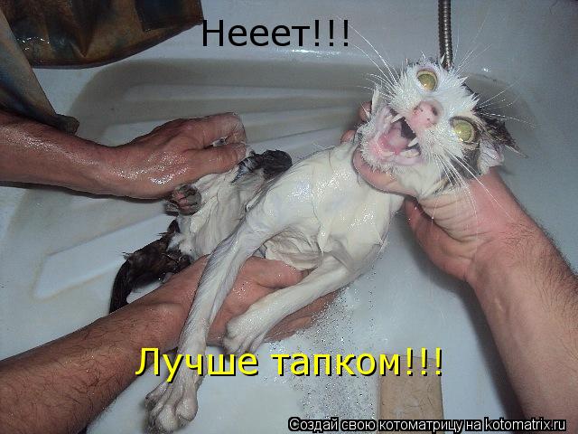 Котоматрица: Нееет!!! Лучше тапком!!!