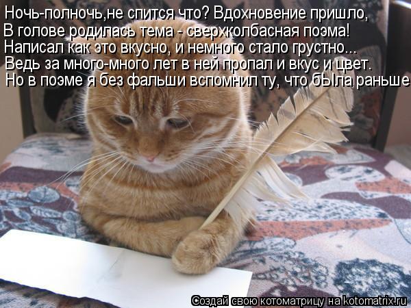 Котоматрица: Ночь-полночь,не спится что? Вдохновение пришло, В голове родилась тема - сверхколбасная поэма! Написал как это вкусно, и немного стало груст