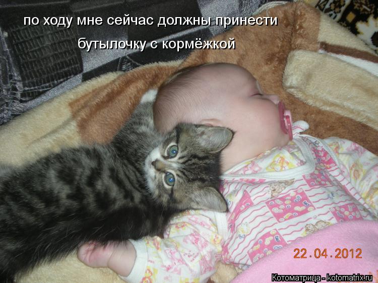 по ходу мне сейчас должны принести бутылочку с кормёжкой... Котоматрица: по ходу мне сейчас должны принести бутылочку с кормёжкой