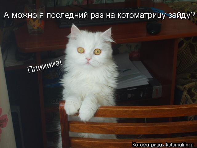 А можно я последний раз на котоматрицу зайду? Плииииз!... Котоматрица: А можно я последний раз на котоматрицу зайду? Плииииз!