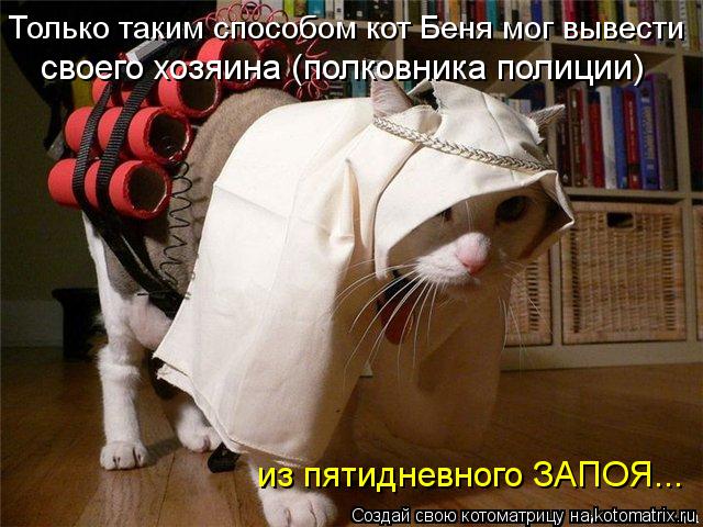 Котоматрица: из пятидневного ЗАПОЯ... своего хозяина (полковника полиции) Только таким способом кот Беня мог вывести