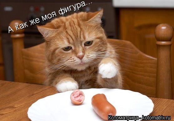 Котоматрица: А как же моя фигура...