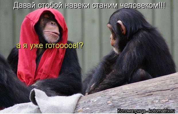 Котоматрица: Давай стобой навеки станим человеком!!! а я уже готоооов!?