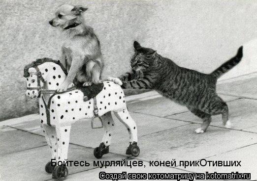 Котоматрица: Бойтесь мурляйцев, коней прикОтивших