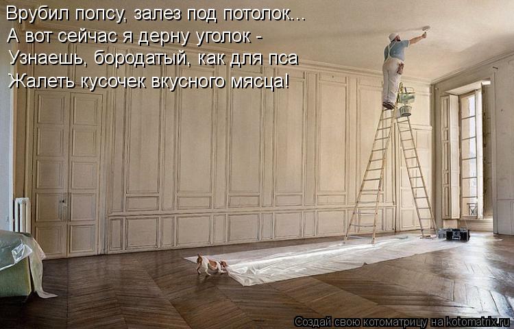 Котоматрица: Врубил попсу, залез под потолок... А вот сейчас я дерну уголок -  Узнаешь, бородатый, как для пса Жалеть кусочек вкусного мясца!