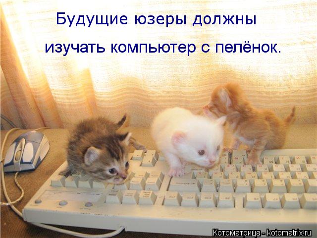 Котоматрица: Будущие юзеры должны  изучать компьютер с пелёнок.