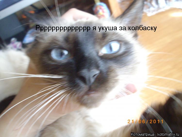 Котоматрица: Рррррррррррррр я укуша за колбаску