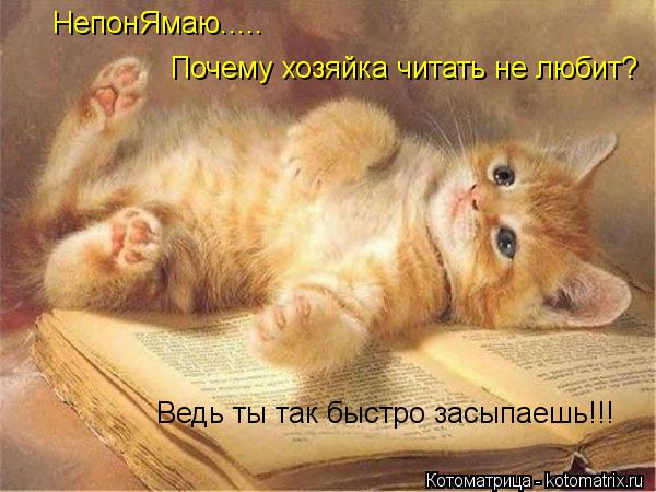 Котоматрица: НепонЯмаю..... Почему хозяйка читать не любит? Ведь ты так быстро засыпаешь!!!