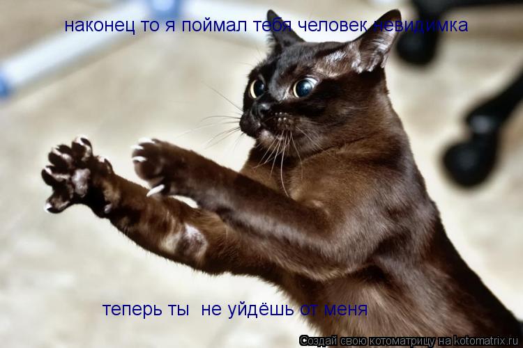 ЧАСТУШКИ!! 18 всем есть? -Стихи? Достали...... Котоматрица: ЧАСТУШКИ!! 18 всем есть? -Стихи? Достали...