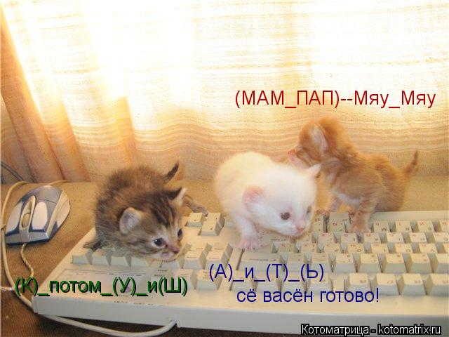 Котоматрица: (К)_потом_(У)_и(Ш) (А)_и_(Т)_(Ь) сё васён готово! (МАМ_ПАП)--Мяу_Мяу
