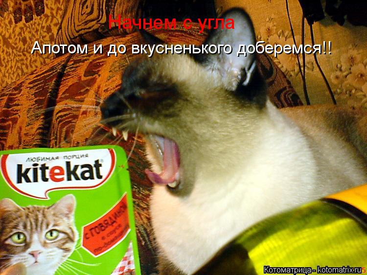 Котоматрица: Начнем с угла Апотом и до вкусненького доберемся!!