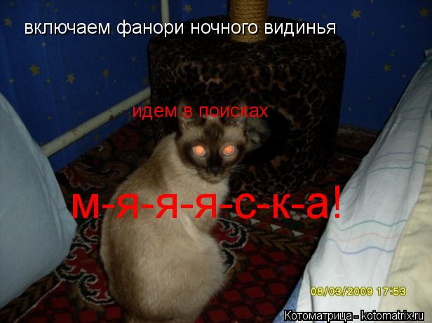 Котоматрица: включаем фанори ночного видинья идем в поисках  м-я-я-я-с-к-а!