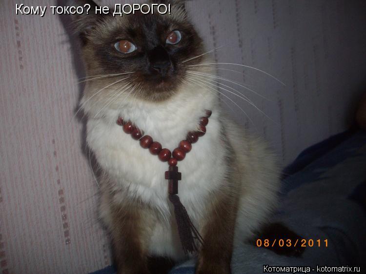 Котоматрица: Кому токсо? не ДОРОГО!
