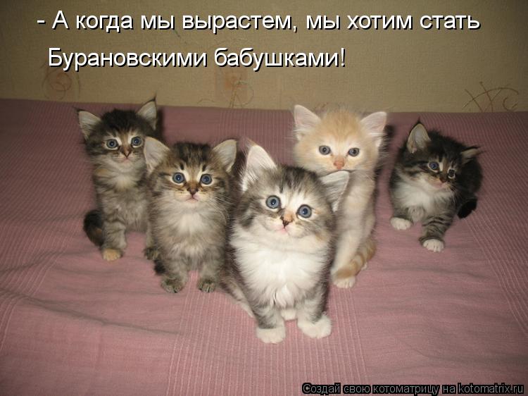 Котоматрица: - А когда мы вырастем, мы хотим стать Бурановскими бабушками!
