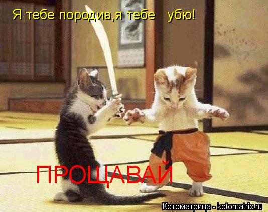 Котоматрица: Я тебе породив,я тебе і убю! ПРОЩАВАЙ