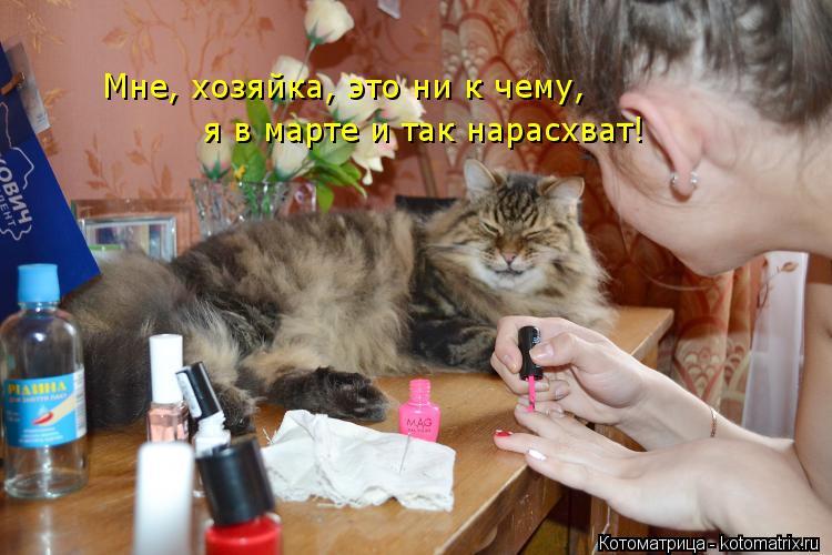 Мне, хозяйка, это ни к чему, я в марте и так нарасхват!... Котоматрица: Мне, хозяйка, это ни к чему, я в марте и так нарасхват!
