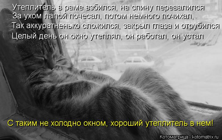Утеплитель в раме взбился, на спину перевалился За ухом лапой почесал, потом немного почихал, Целый... Котоматрица: Утеплитель в раме взбился, на спину перевалился За ухом лапой почесал, потом немного почихал, Целый день он окно утеплял, он работал, он уст