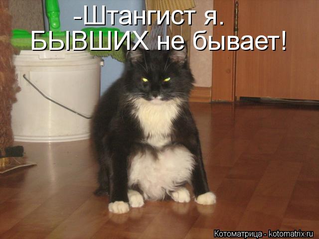 Котоматрица: -Штангист я. БЫВШИХ не бывает!