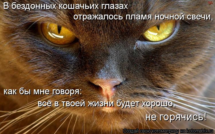 Котоматрица: В бездонных кошачьих глазах  отражалось пламя ночной свечи, как бы мне говоря: всё в твоей жизни будет хорошо, не горячись!