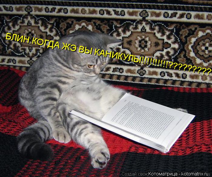Котоматрица: БЛИН КОГДА ЖЭ ВЫ КАНИКУЛЫ!!!!!!!!!!???????????