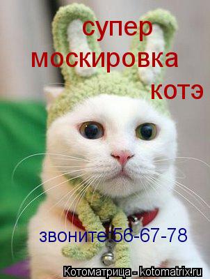Котоматрица: супер москировка котэ звоните:56-67-78