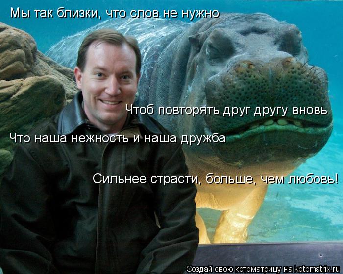 Котоматрица: Мы так близки, что слов не нужно Что наша нежность и наша дружба Сильнее страсти, больше, чем любовь! Чтоб повторять друг другу вновь