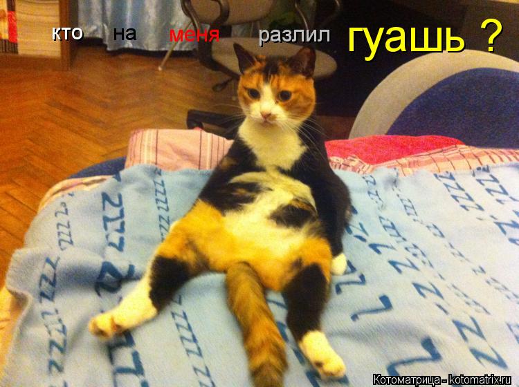 кто на меня разлил гуашь ?... Котоматрица: кто на меня разлил гуашь ?