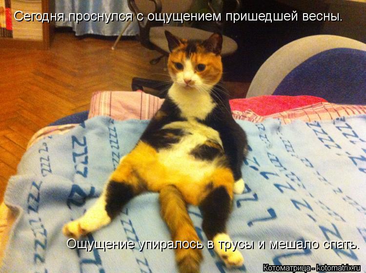 Сегодня проснулся с ощущением пришедшей весны. Ощущение упиралось в трусы и мешало спать.... Котоматрица: Сегодня проснулся с ощущением пришедшей весны. Ощущение упиралось в трусы и мешало спать.