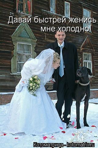 Котоматрица: Давай быстрей женись  мне холодно!