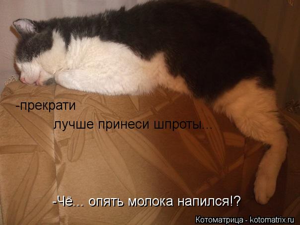 -прекрати -Чё... опять молока напился!? лучше принеси шпроты...... Котоматрица: -прекрати -Чё... опять молока напился!? лучше принеси шпроты...