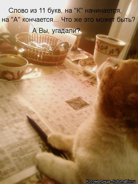 Котоматрица: Слово из 11 букв, на "К" начинается, на "А" кончается... Что же это может быть? А Вы, угадали?