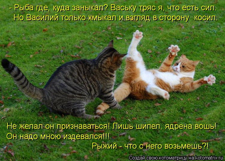 - Рыба где, куда заныкал? Ваську тряс я, что есть сил. Но Василий только хмыкал и взгляд в сторону к... Котоматрица: - Рыба где, куда заныкал? Ваську тряс я, что есть сил. Но Василий только хмыкал и взгляд в сторону косил. Не желал он признаваться! Лишь шипел,