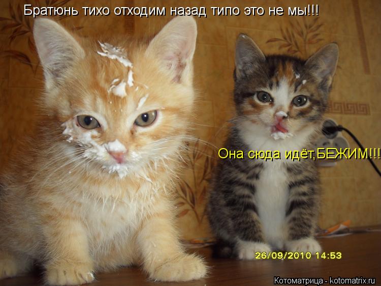 Братюнь тихо отходим назад типо это не мы!!! Она сюда идёт,БЕЖИМ!!!... Котоматрица: Братюнь тихо отходим назад типо это не мы!!! Она сюда идёт,БЕЖИМ!!!