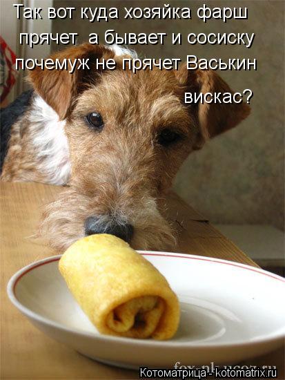 Котоматрица: Так вот куда хозяйка фарш прячет  а бывает и сосиску почемуж не прячет Васькин  вииск вискас?