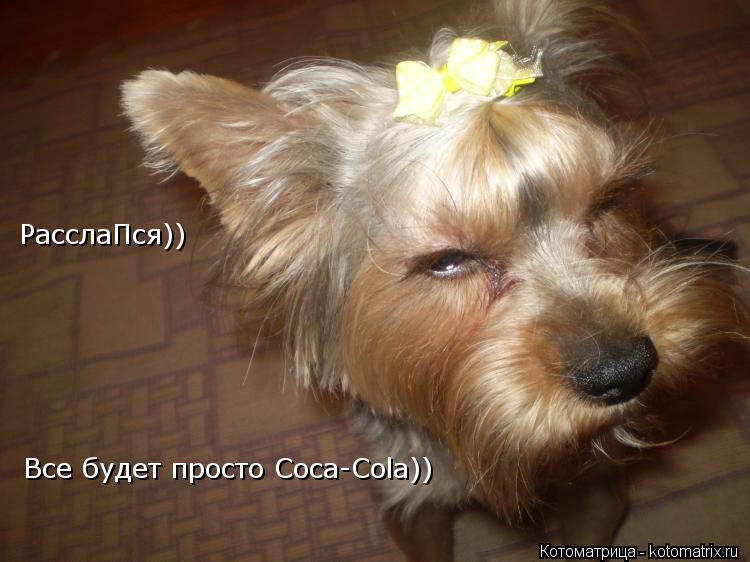 Котоматрица: РасслаПся))  Все будет просто Coca-Cola))