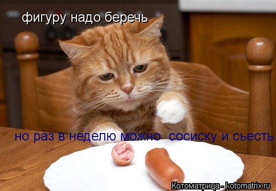 Котоматрица: фигуру надо беречь но раз в неделю можно  сосиску и сьесть