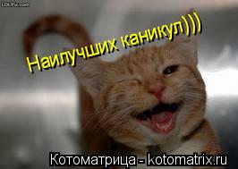 Котоматрица: Наилучших каникул)))