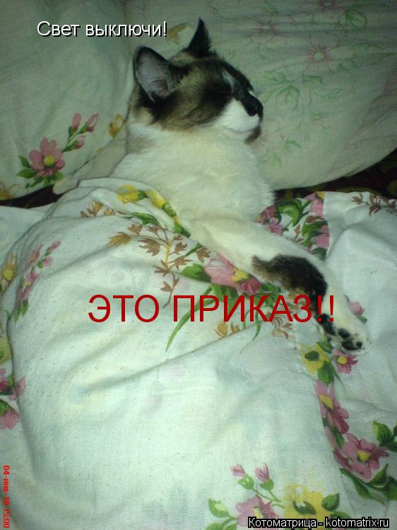 Котоматрица: Свет выключи! ЭТО ПРИКАЗ!!