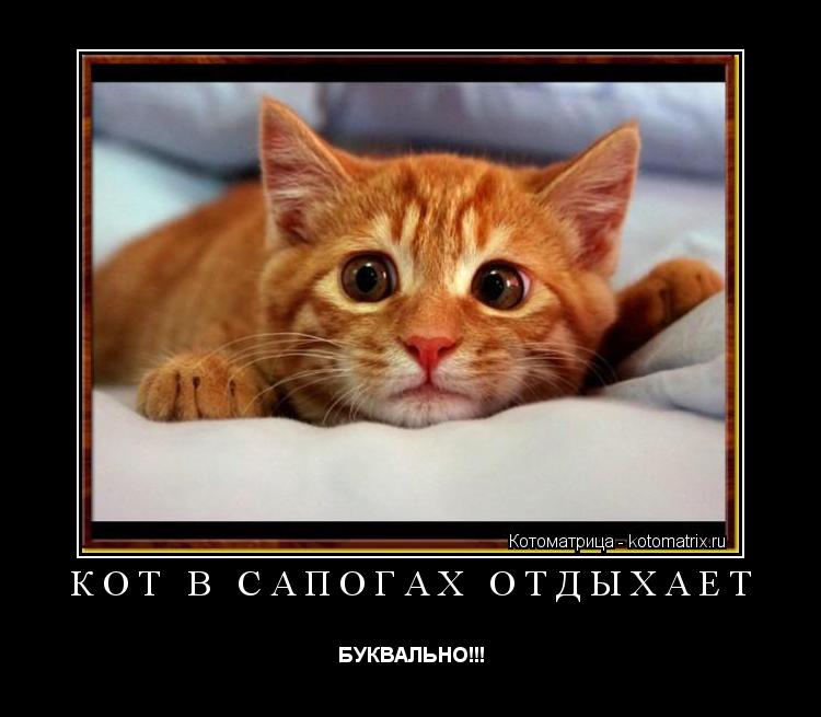 кот в сапогах отдыхает БУКВАЛЬНО!!!... Котоматрица: кот в сапогах отдыхает БУКВАЛЬНО!!!