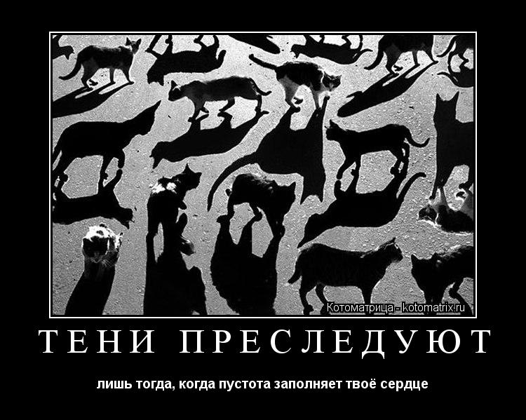 Котоматрица: Тени преследуют лишь тогда, когда пустота заполняет твоё сердце