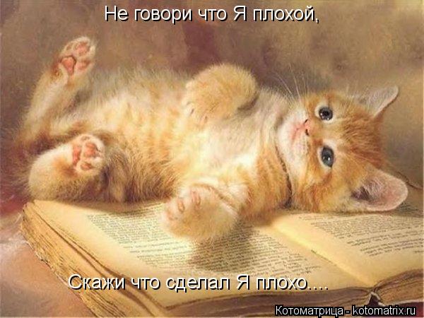 Котоматрица: Не говори что Я плохой, Скажи что сделал Я плохо....