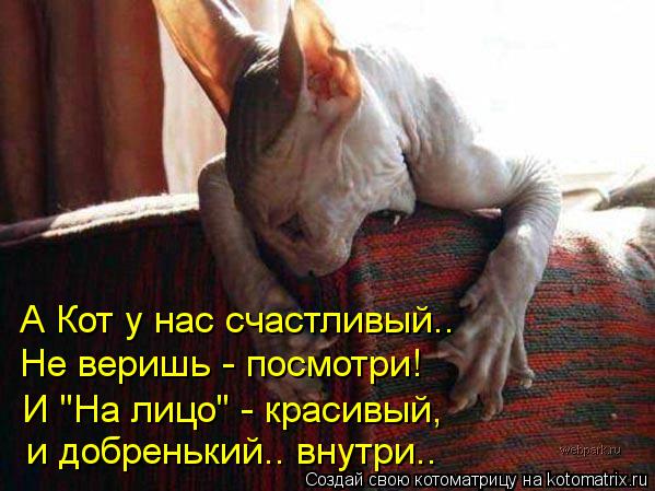 А Кот у нас счастливый.. Не веришь - посмотри! И "На лицо" - красивый, и добренький.. внутри..... Котоматрица: А Кот у нас счастливый.. Не веришь - посмотри! И "На лицо" - красивый, и добренький.. внутри..