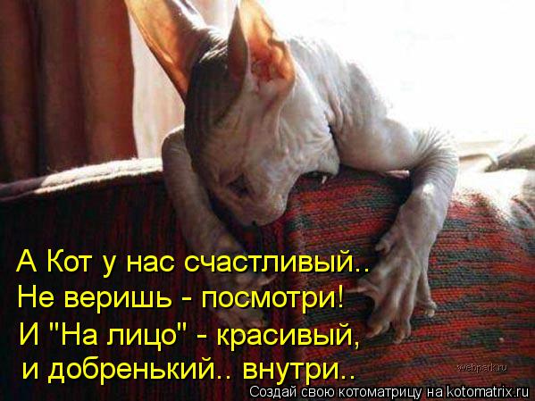 Котоматрица: А Кот у нас счастливый.. Не веришь - посмотри! И "На лицо" - красивый,  и добренький.. внутри..