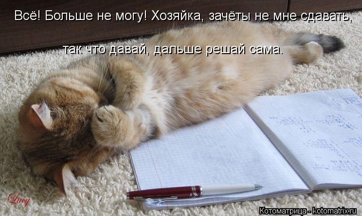 Котоматрица: Всё! Больше не могу! Хозяйка, зачёты не мне сдавать, так что давай, дальше решай сама.