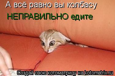Котоматрица: А всё равно вы колбасу НЕПРАВИЛЬНО едите