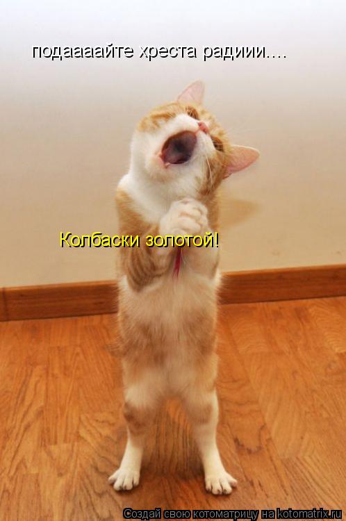Котоматрица: подаааайте хреста радиии.... Колбаски золотой!