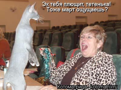 Котоматрица: Эк тебя плющит, тетенька! Тоже март ощущаешь?