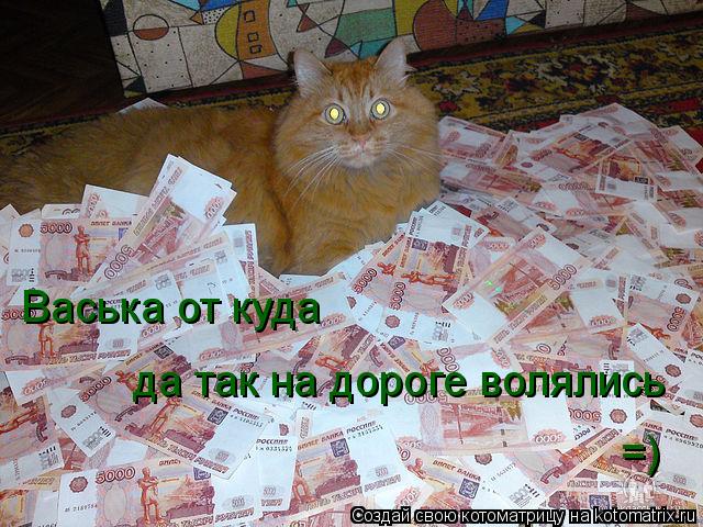 Котоматрица: Васька от куда да так на дороге волялись =)